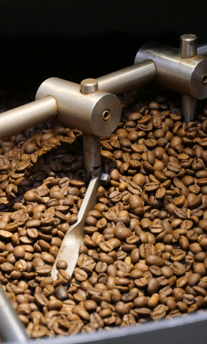 torréfaction de café de spécialité dans le Tarn