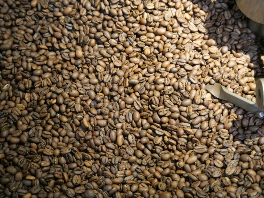 Café grain de spécialité tout juste torréfié