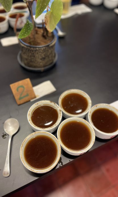 Dégustation des arômes d'un café de spécialité