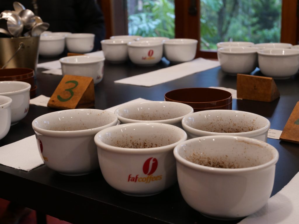 Dégustation de cafés aux différents profils aromatiques